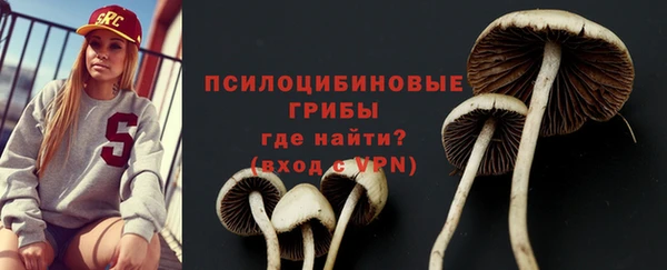 ПСИЛОЦИБИНОВЫЕ ГРИБЫ Арсеньев