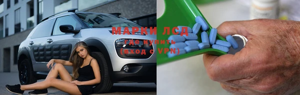 ПСИЛОЦИБИНОВЫЕ ГРИБЫ Арсеньев