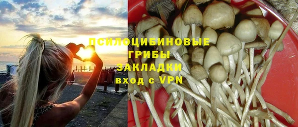 гидра Армянск