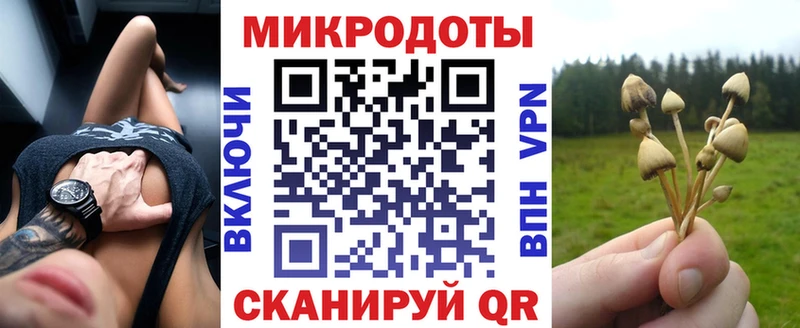 Псилоцибиновые грибы прущие грибы  цены   Саранск 